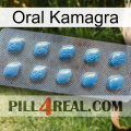 Oral Kamagra viagra3